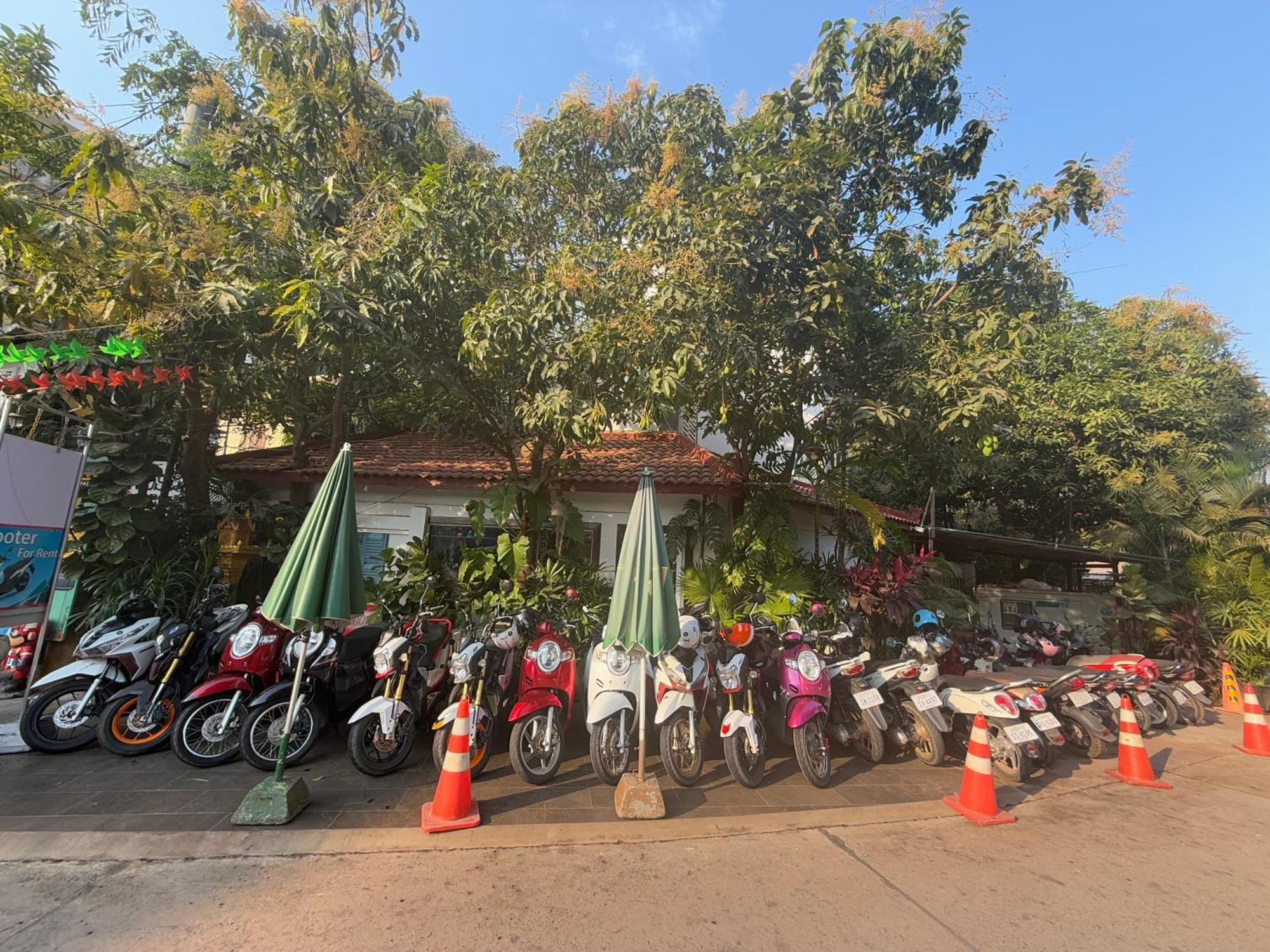 Asanak D'Angkor Boutique Hotel Siem Reap Zewnętrze zdjęcie